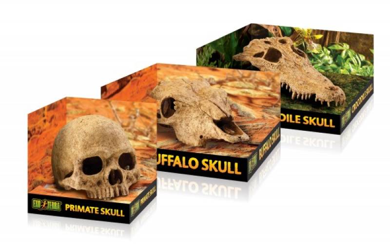 Preview: Exo Terra Skulls